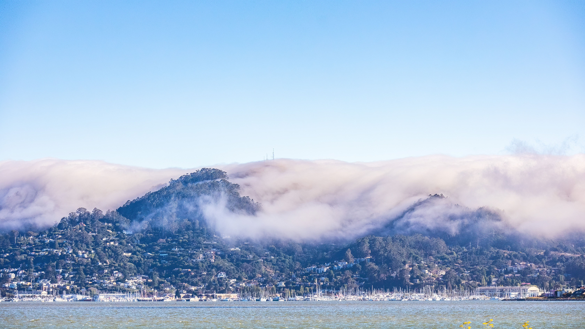 Fog rolling over the Sausalito hillside with sailboats moored along the waterfront
